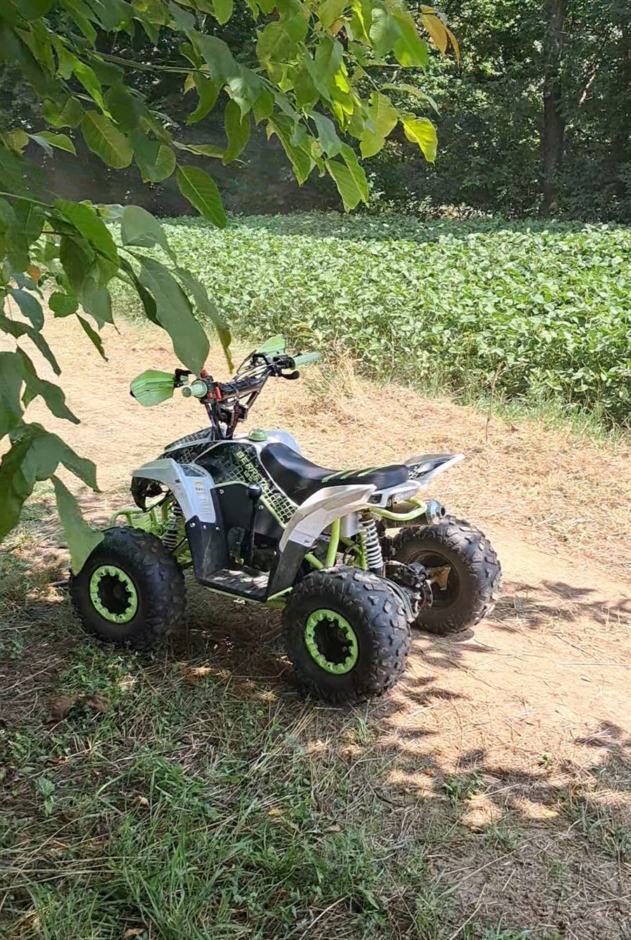 Młodzieżowy quad Berreta na leśnej trasie